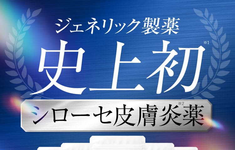 商品紹介画像
